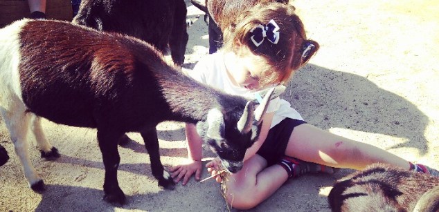 IMG_20170512_135342_451